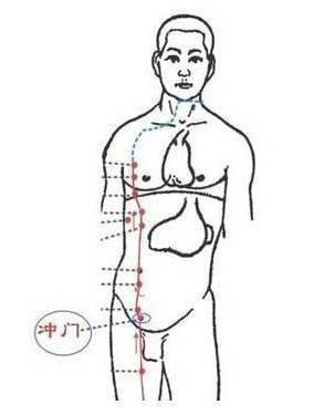 腹股沟_治疗_穴位