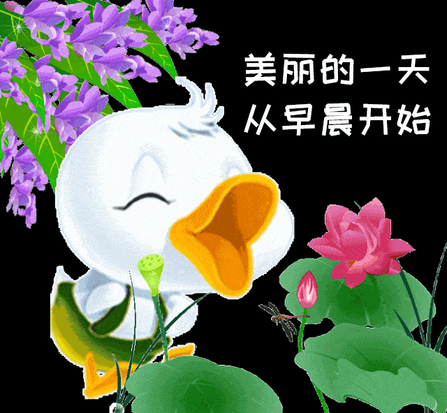 今天最新早上好表情动图大全美好的一天平安顺心