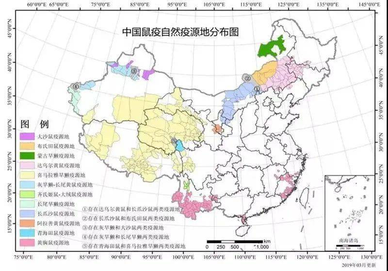 昌邑疾控警惕宁夏确诊1例鼠疫病例鼠疫是什么怎么预防