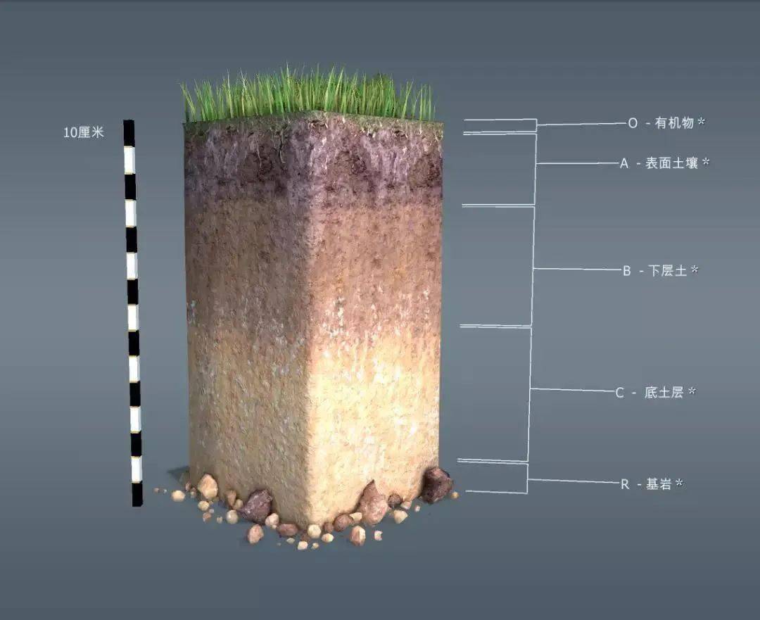 地理视角看农业土壤与农业地理附高中地理农业区位条件评价类答题思路