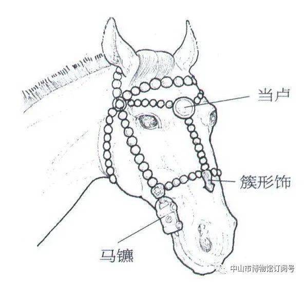 西周马辔头为了有效地控驭马,使它能按人的意志驾车或从事其他工作