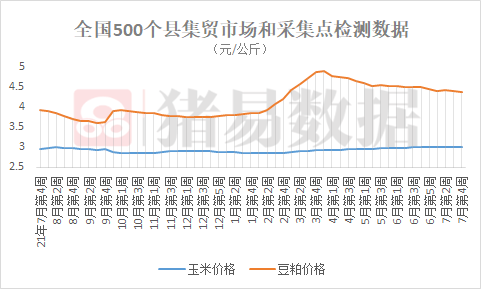 供需博弈明显,周内猪价震荡调整_仔猪_生猪_企业