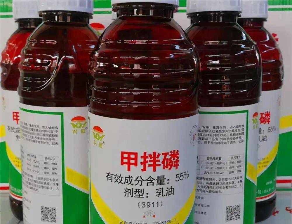 种种迹象表明,7名室友在摄入了剧毒农药甲拌磷后,祖晓雪当时在场,并向