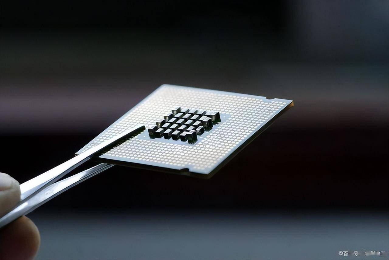 ����ı���������Ⱥ��̬��̨������Ρ�̯�ơ���