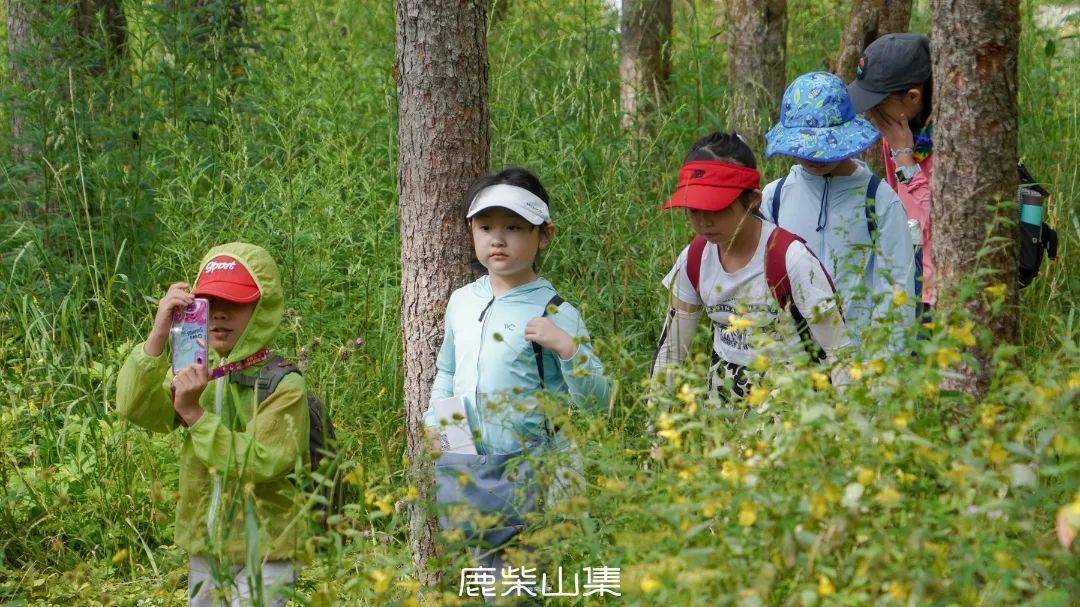 秦岭自然夏令营花絮回放| 深入秦岭原生秘境，跟随专家开启动植博物之门