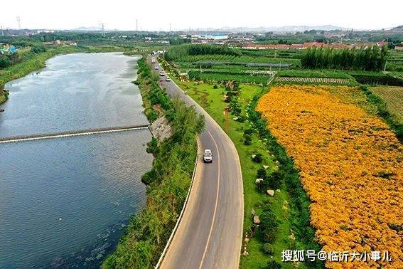 在花海书香邂逅“诗和远方”——沂水县黄山铺镇市级美丽乡村示范片区建设掠影