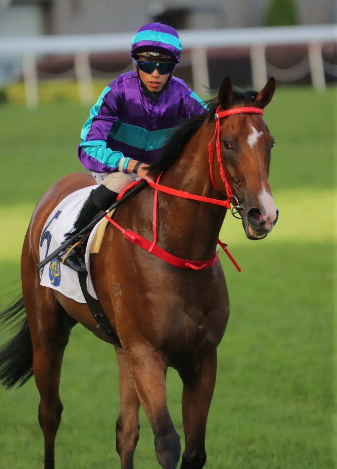 ���̨����ңԶ�ǿա������������֮��