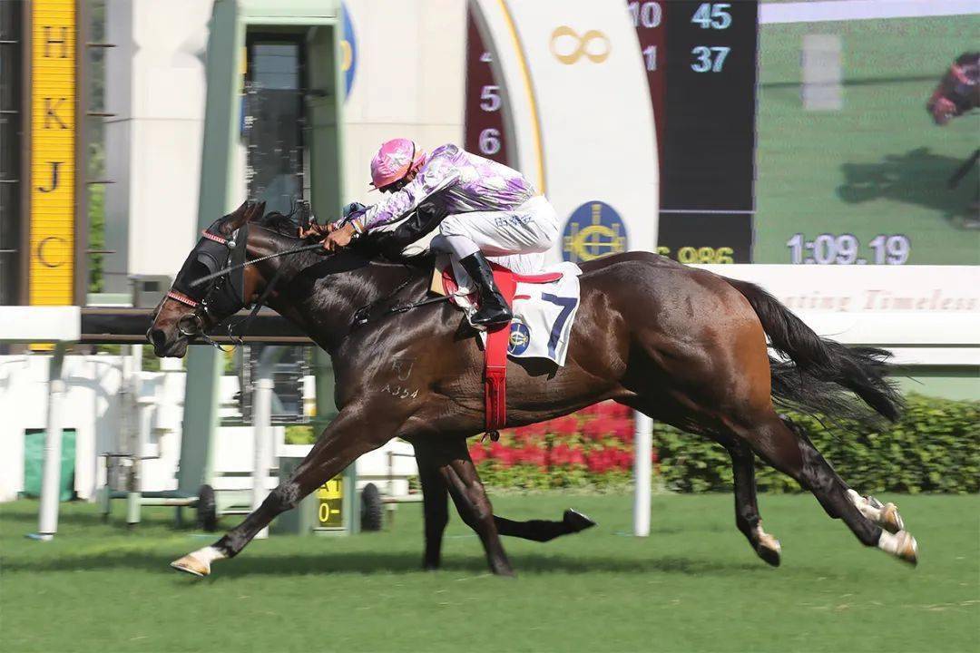 ���̨����ңԶ�ǿա������������֮��