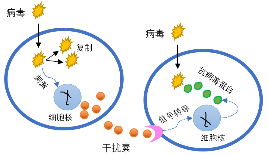 关于干扰素,至少需要知道这5点!_病毒_细胞因子_小时