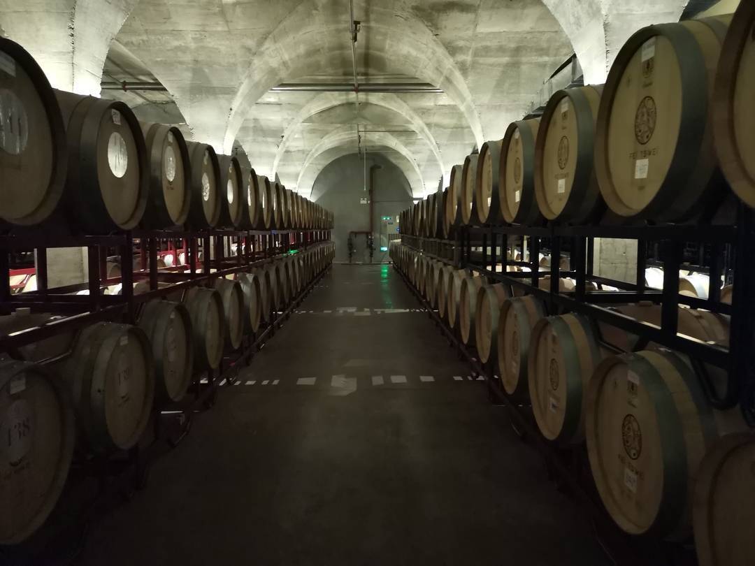 葡萄酒香 贺兰山红——塞上江南，干出葡萄酒大产业，成为世界著名的葡萄酒产地