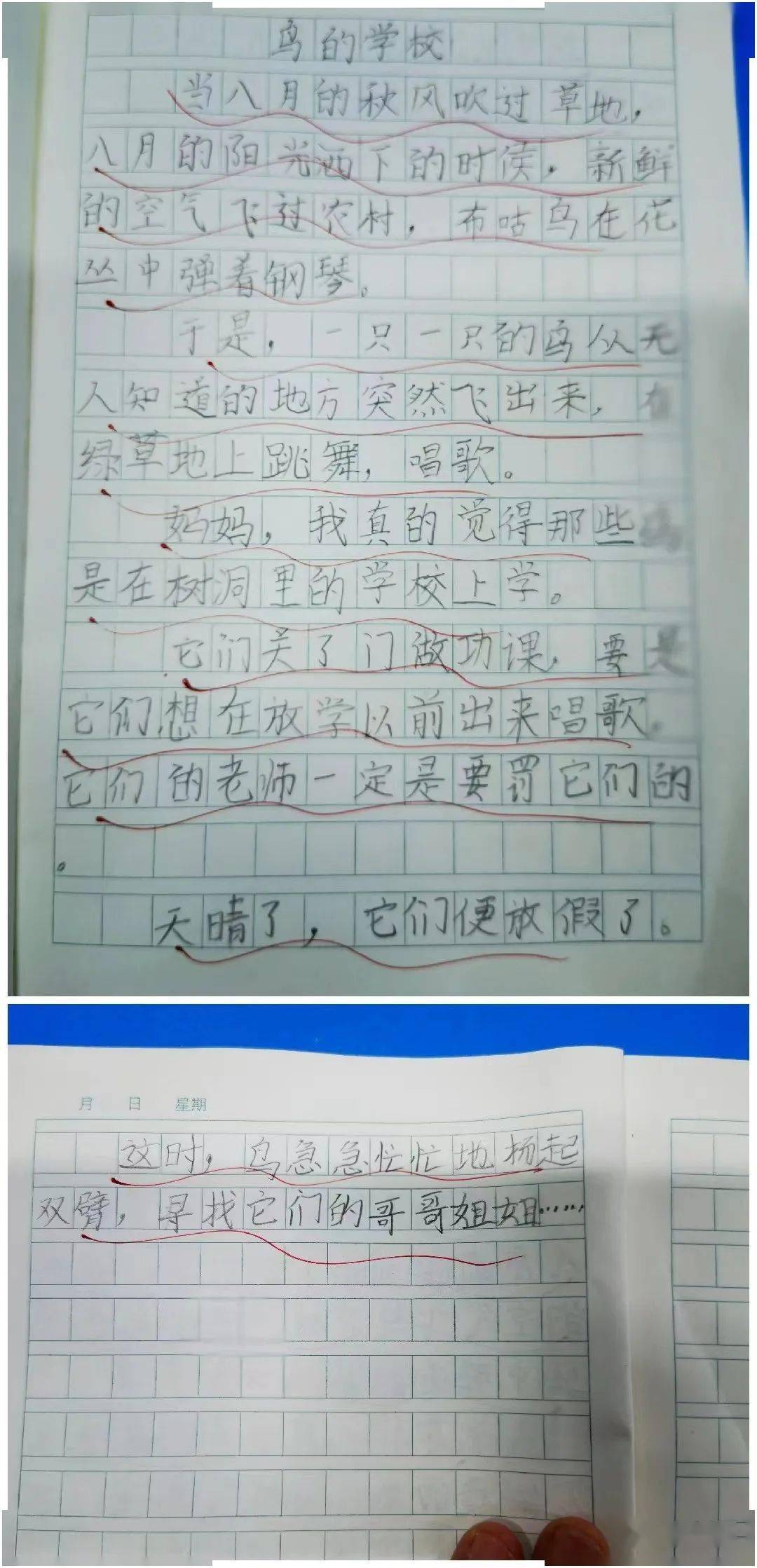 �ճ���¼��20220913���˸���һ���ݳ�Ʒ