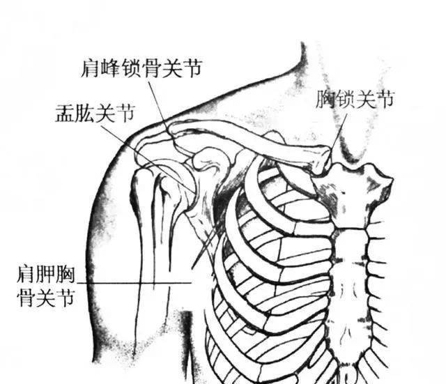 即盂肱关节,肩锁关节,胸锁关节及肩胛胸壁关节