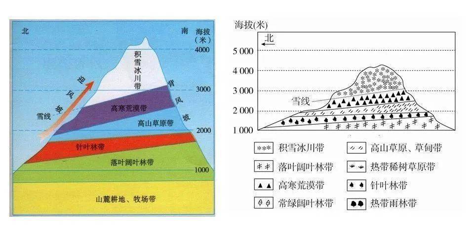 20座山脉的垂直自然带谱,总结全了!_雪线_影响_纬度