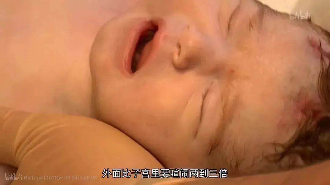 文章配图-7