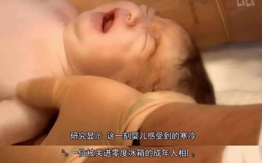 文章配图-2