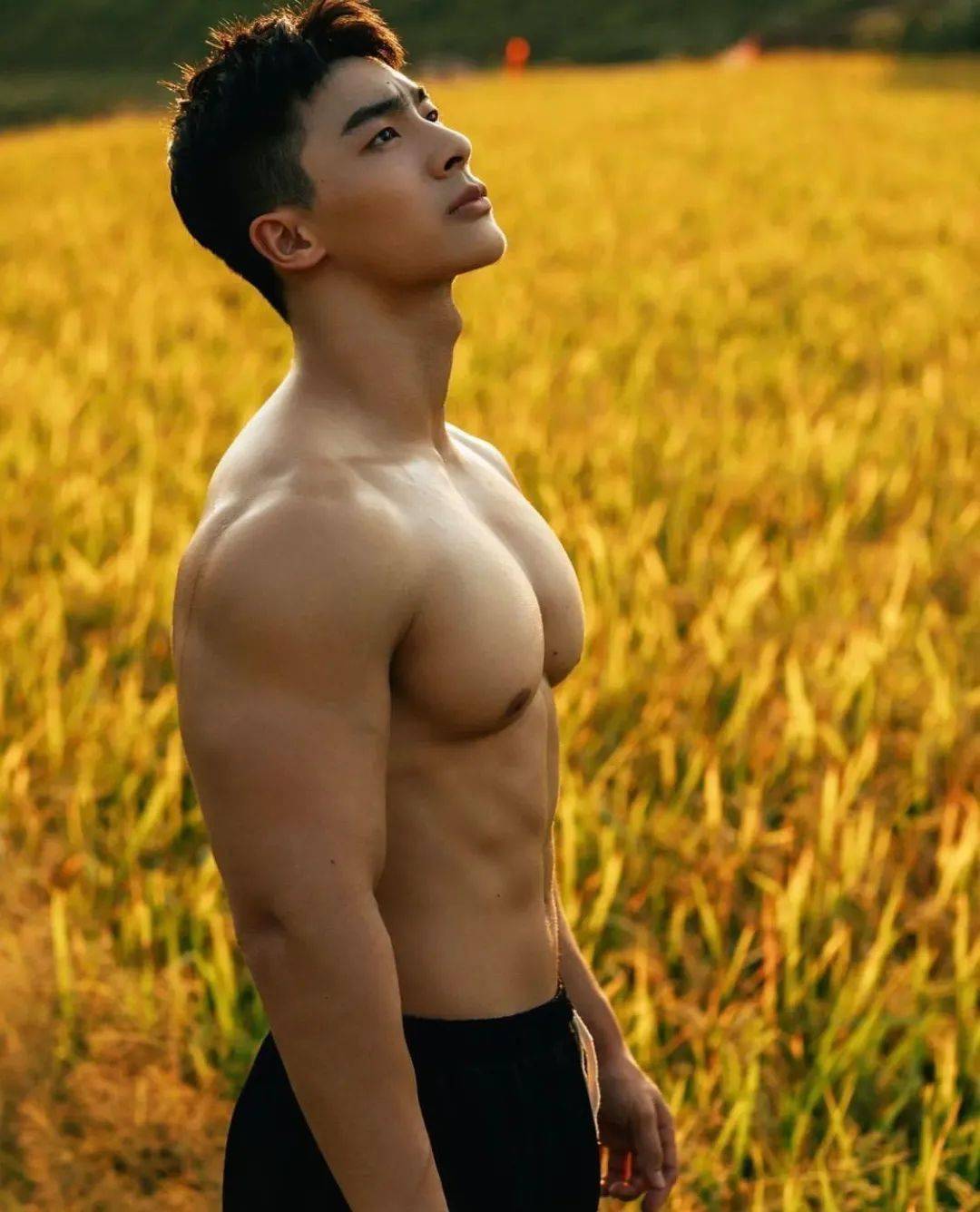 肌肉男写真,胸肌也太大了!_胸肌_写真