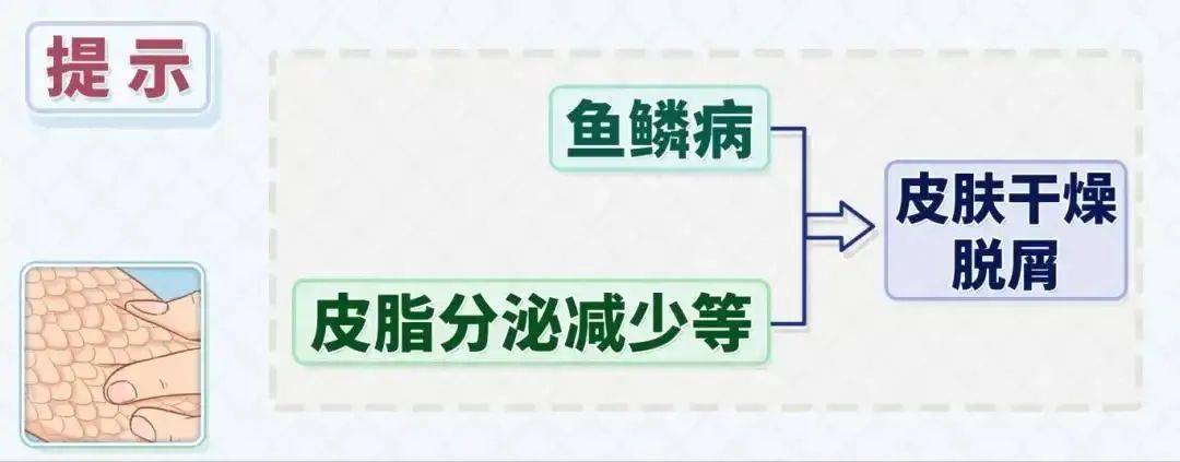 鱼鳞病分为先天性鱼鳞病和后天性鱼鳞病,先天性鱼鳞病一般不能够彻底