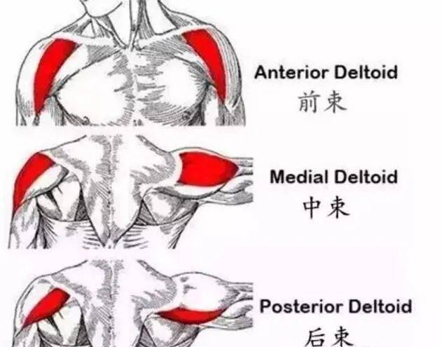 泛亚电竞你食物中有这玩意儿活该减不下来(图9)