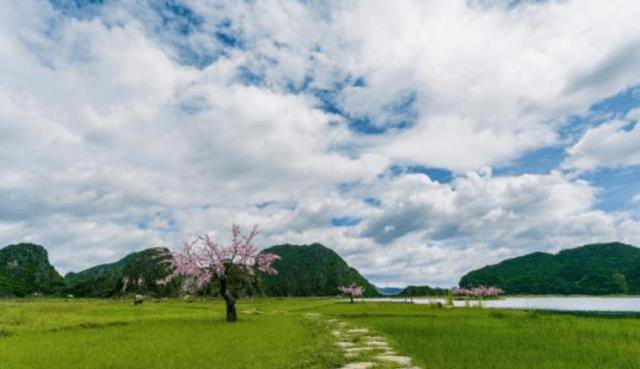 现实版桃花源，因《三生三世十里桃花》走红，景色绝美，值得一来