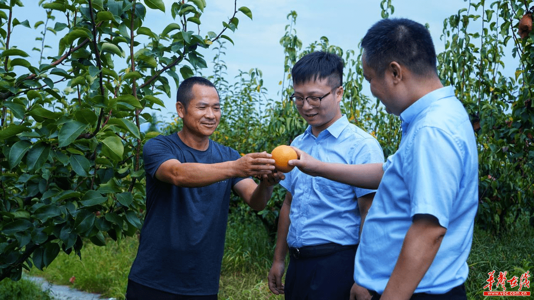 美丽乡村 向“湄”而生——邮储银行湖南省分行助力乡村振兴“湄江范本”