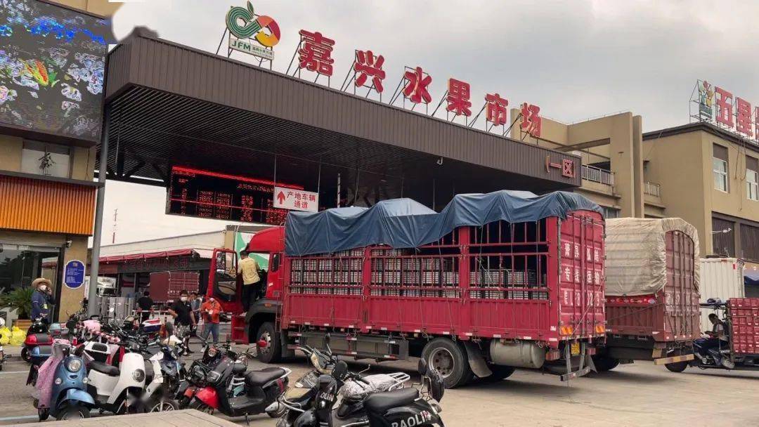 水果批发市场运来一批含水量99%