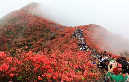 3030万人争先打卡，度假到丹寨，好山好景好地方