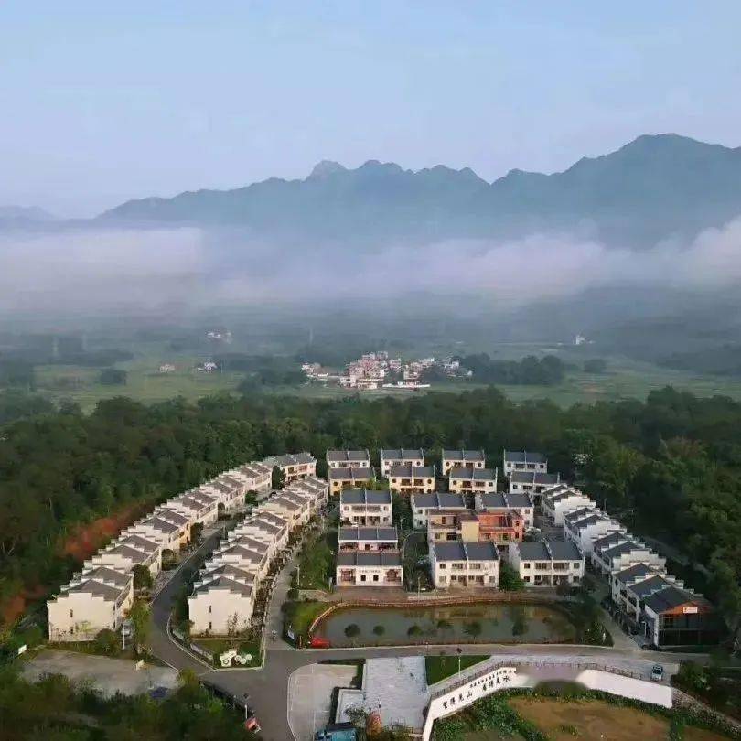 文章配图-82
