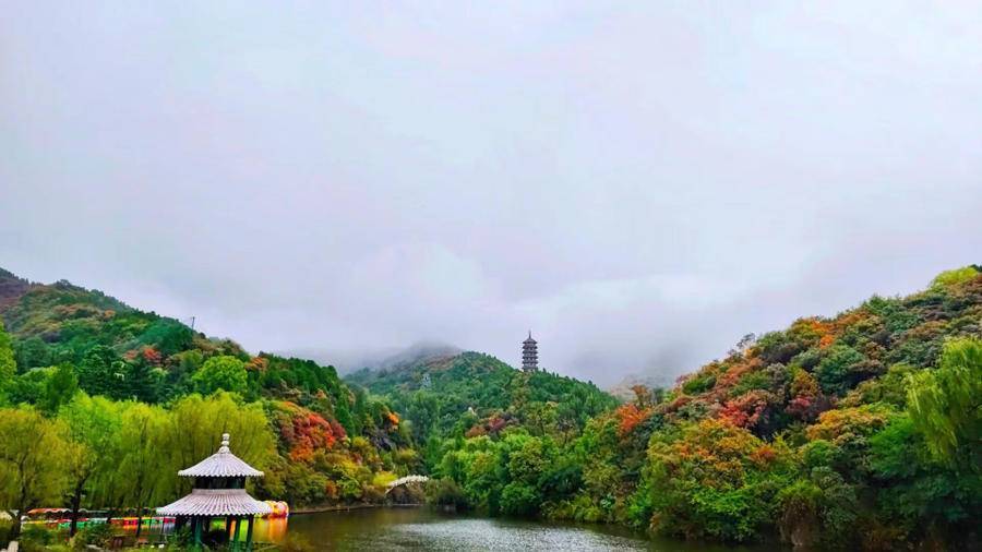 秋雨助兴红叶节，红叶谷提前迎来红叶最佳观赏期