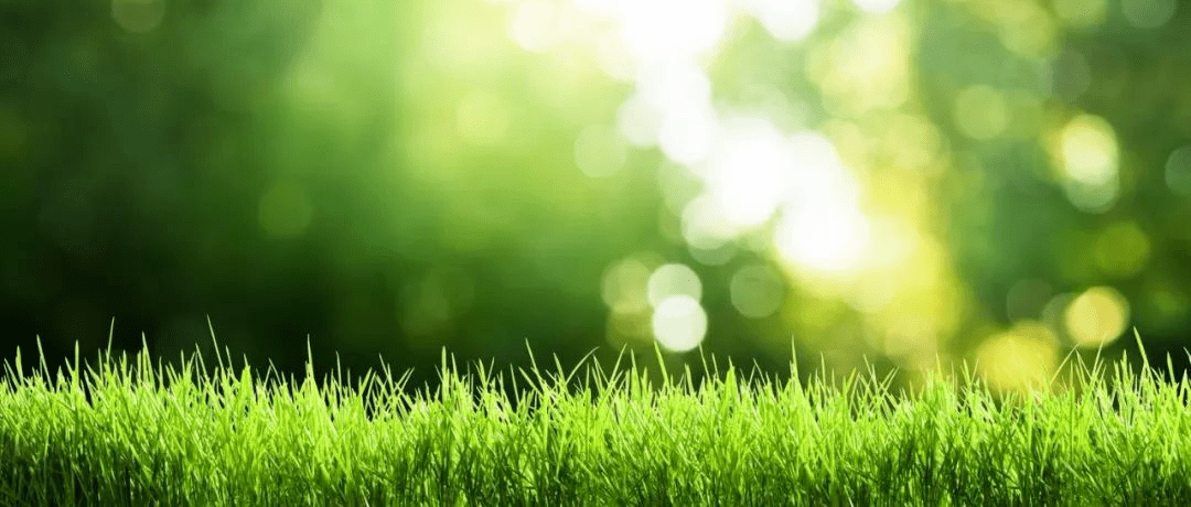 100λŵ������ѧ���޽���100����������