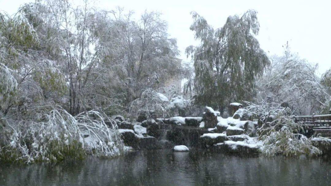 长白山地区迎来今秋首场强降雪天气