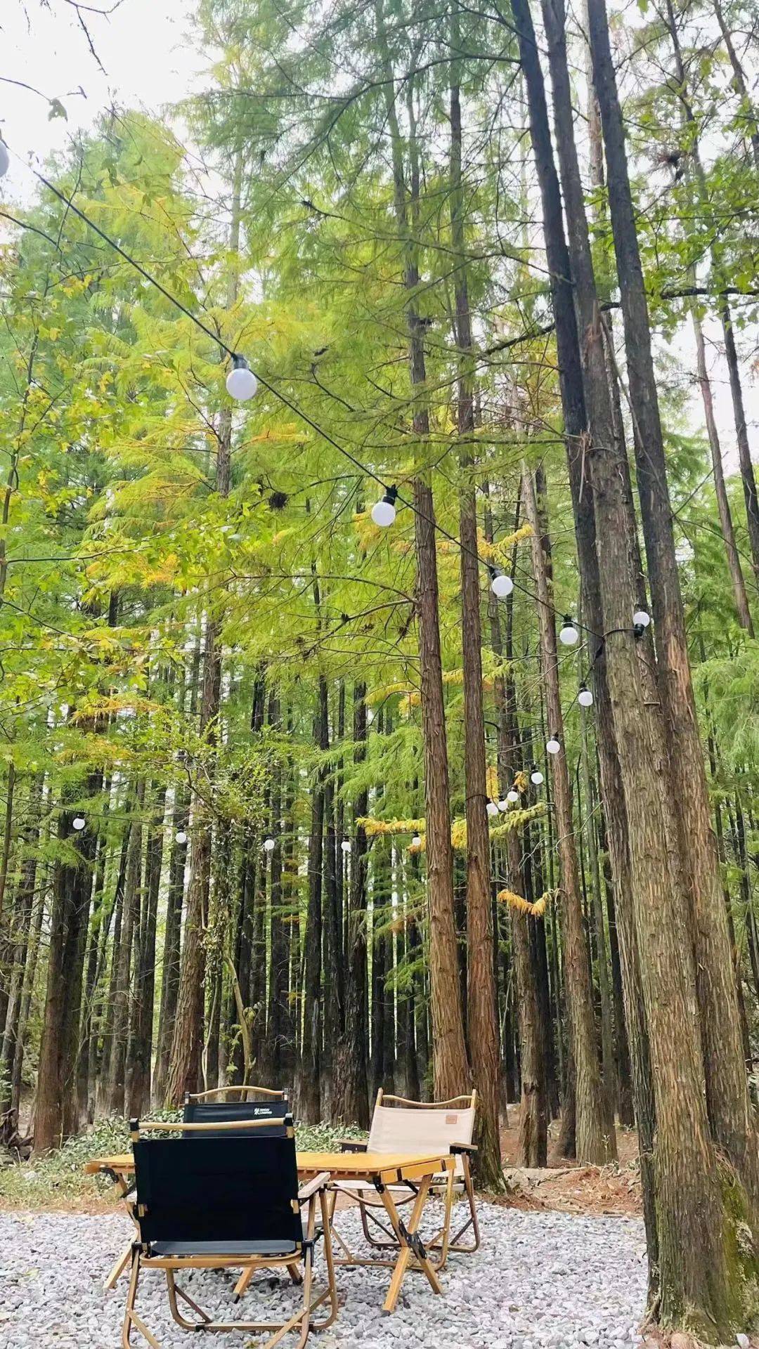 自带流量！义乌这里刮起露营风！