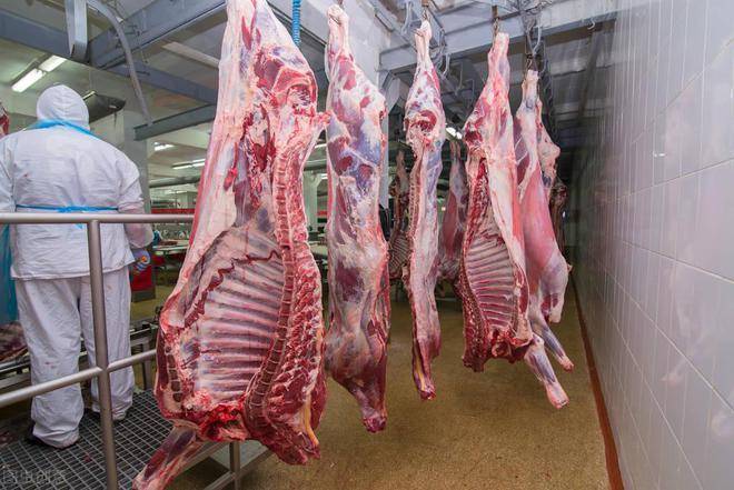 进口资讯：国家出资2亿，纳米比亚救助一牛肉加工企业
