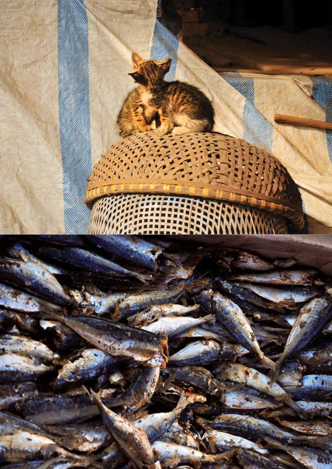 �ھŽ���Ϲ�����Ӱ˫��չ��Ʒ�������䡢�¼��¸�У��