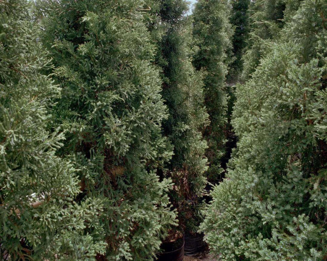 �ھŽ���Ϲ�����Ӱ˫��չ��Ʒ�������䡢�¼��¸�У��