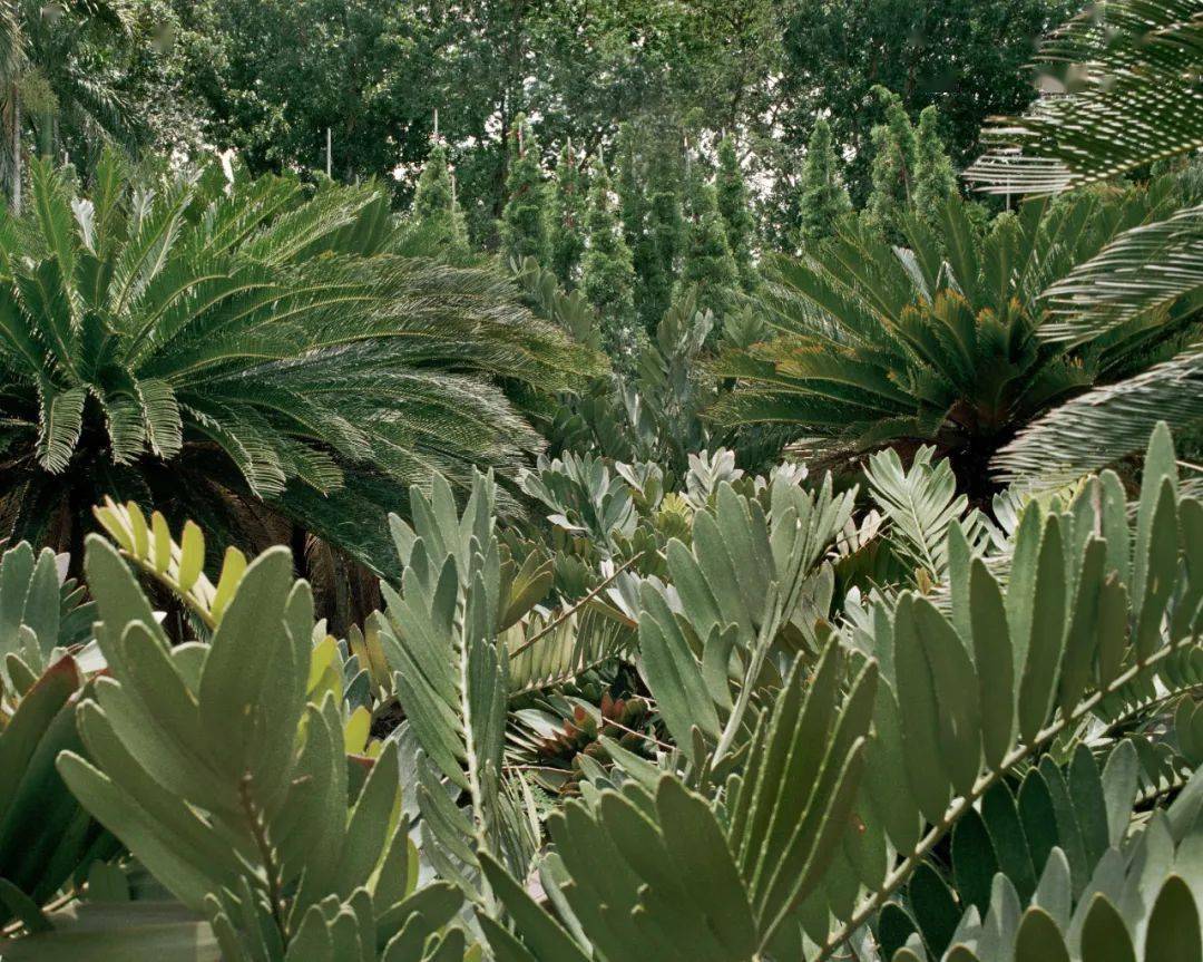 �ھŽ���Ϲ�����Ӱ˫��չ��Ʒ�������䡢�¼��¸�У��