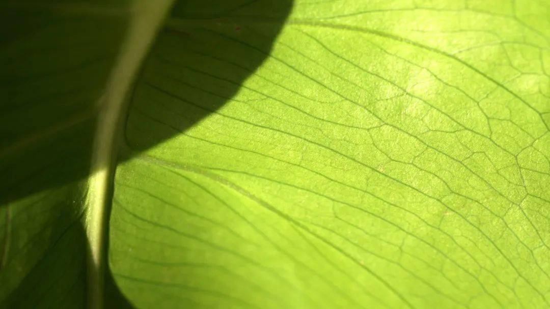 �ھŽ���Ϲ�����Ӱ˫��չ��Ʒ�������䡢�¼��¸�У��