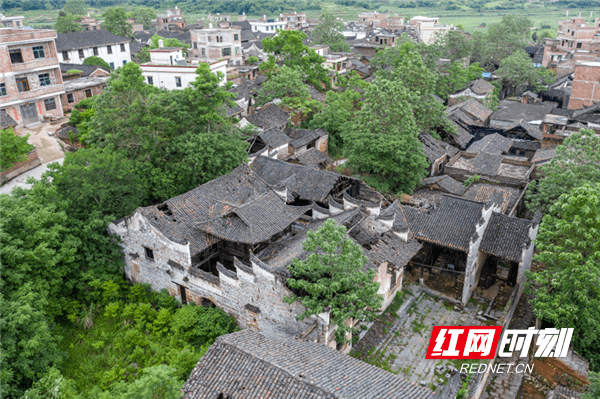 福永州·传统村落丨新田彭梓城村：700年前的深情一瞥