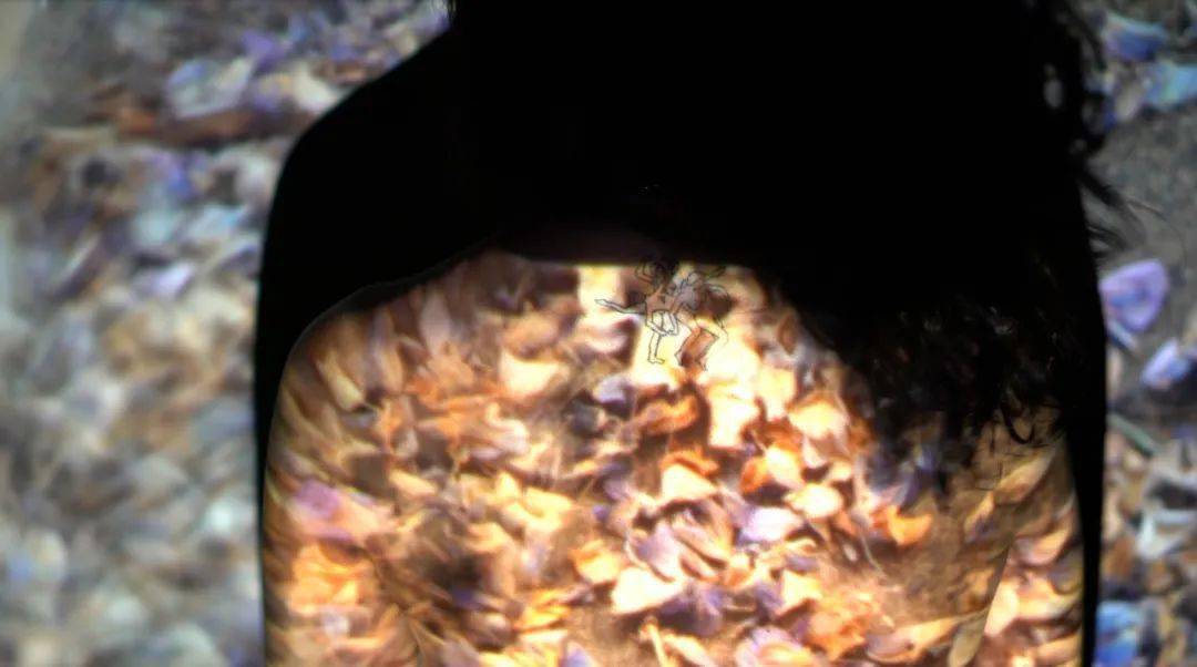 �ھŽ���Ϲ�����Ӱ˫��չ��Ʒ�������䡢�¼��¸�У��