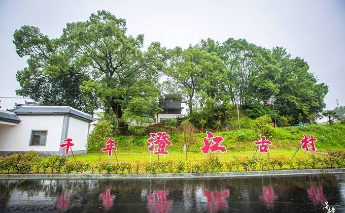 江西于都有一座澄江村，有千年历史，古迹众多，文天祥在这里长大