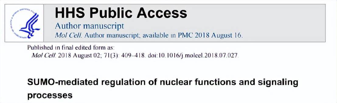 文献综述蛋白质SUMO化修饰 结构 功能 核仁