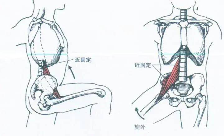 00后女大学生"发育过猛,身高170cm,身材也太哇塞了吧_运动_健身_肌肉