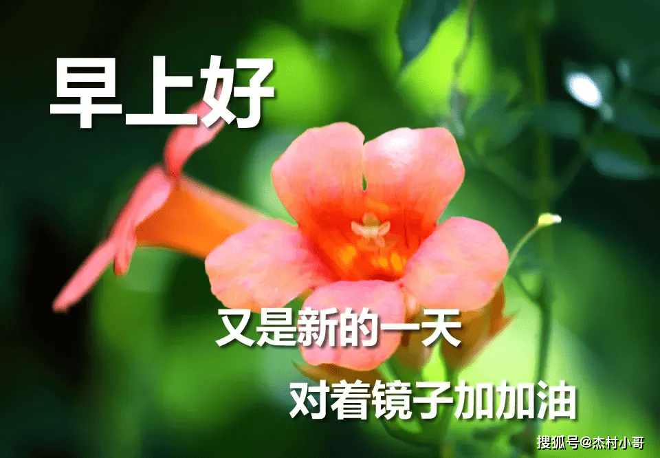 成都供卵医院（原创
            10月24日特别漂亮的早上好图片，每日最新早安图片）