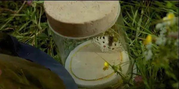 10���������ݵĵ�Ӱ��С���ѵ�Ц����ĺ�����