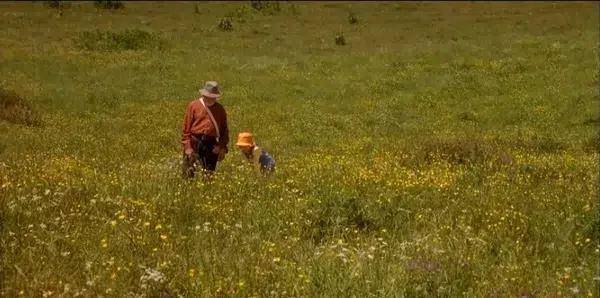 10���������ݵĵ�Ӱ��С���ѵ�Ц����ĺ�����