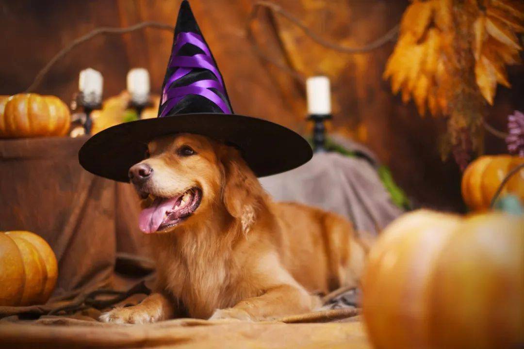 ʮ�»��ѡ��������˼��룡