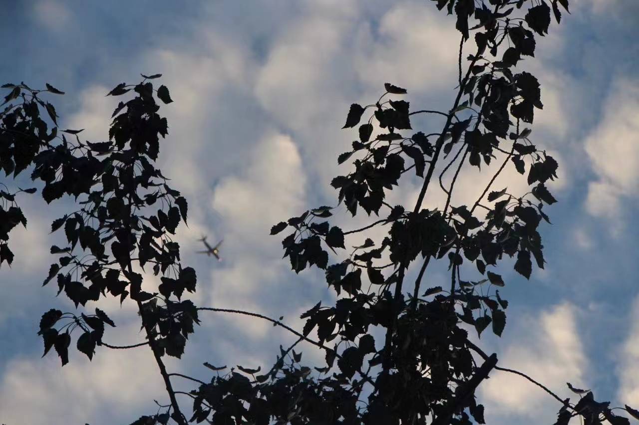 原创
弱关系的力量!真正能帮到你的人,往往是那些和你不熟的人 原创
弱关系的力量!真正能帮到你的人,往往是那些和你不熟的人