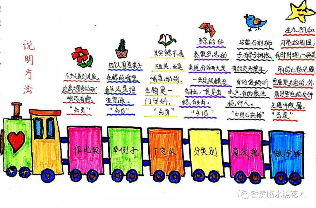 思维导图“画”作文——五年级“我的心爱之物”】谭奥《鹦鹉》（二十五）  五年级作文 第17张