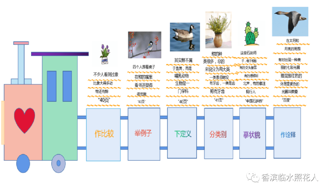 思维导图“画”作文——五年级“我的心爱之物”】谭奥《鹦鹉》（二十五）  五年级作文 第22张