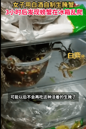 女子制生腌蟹3小时后螃蟹越狱乱爬：吃了一口吃不下去以后不会再尝试