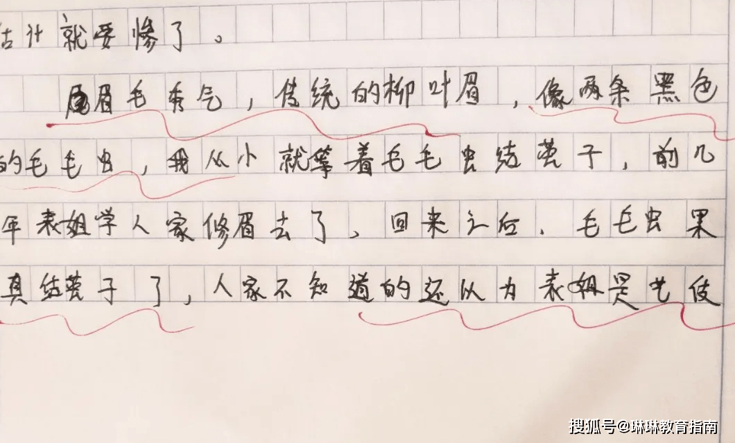 写作的最高境界，还得看小学生的创意，盘点哭笑不得的小学生作文  小学作文 第12张